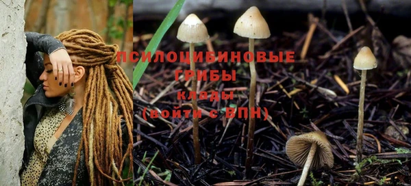 MDMA Беломорск
