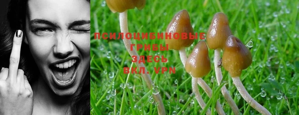 MDMA Беломорск