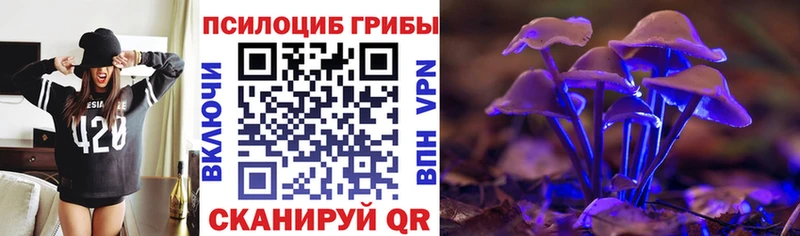 Купить закладки  Остров  Псилоцибиновые грибы Psilocybe 